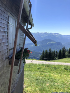 KAC Gaissau Kräuterwanderung 2019 06 29 14 01 52  4734